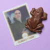 Harry Potter chocolate Frog