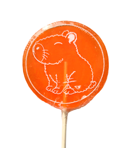 The Natural Candy Shop Capybara Orange flavoured lollipop 60g